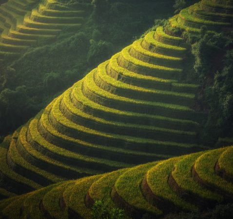 agriculture-1822443_1920.jpg